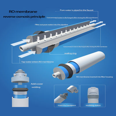 8040 Or 4040 RO Reverse Osmosis Membrane Element For Pure Water Filtration