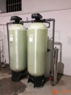 1000L/H Ion Exchange Water Softener Resin Filter For Remove Water Hardness