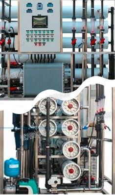 1.0m3/h RO EDI Softened Water Plant for Deionized Water