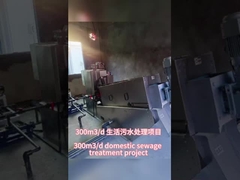 300t/d domestic sewage treatment project